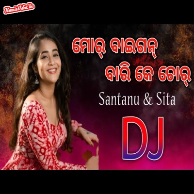 Mor Baigan Bari Ke Sambalpuri Dj Remix